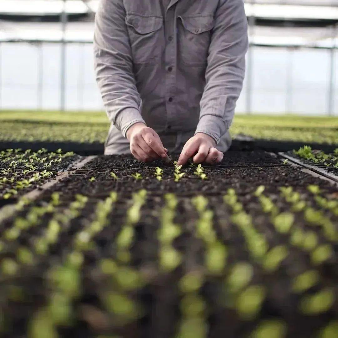 最新自衛法,保障個人權益的新篇章啟動