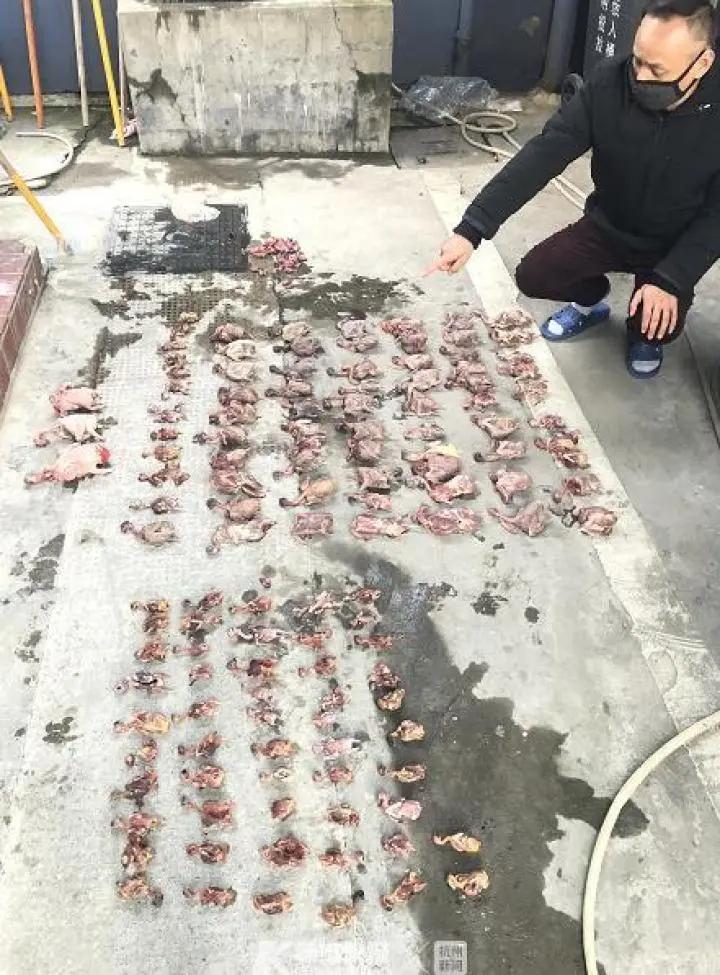 浙江小城溫馨抗疫日常,疫情最新進展與日常防控紀實