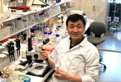 瑞典追尋自然美景之旅，遠(yuǎn)離肺炎陰霾，探索自然之美