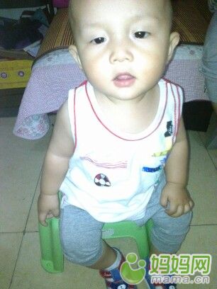 小樂樂最新，科技娛樂新風(fēng)尚的探索者