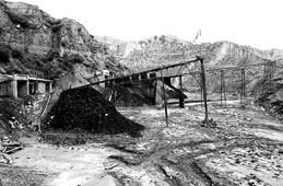 五A添盛坊青稞原漿 第131頁