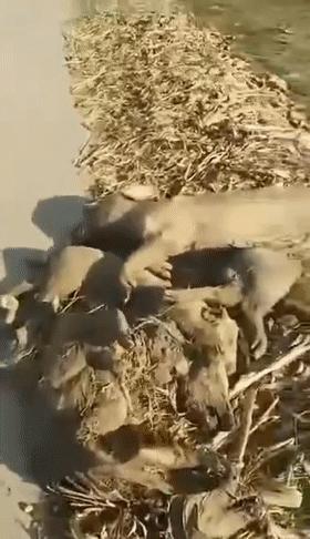 前沿科技與深度文化藝術的視聽盛宴，最新長視頻探索之旅