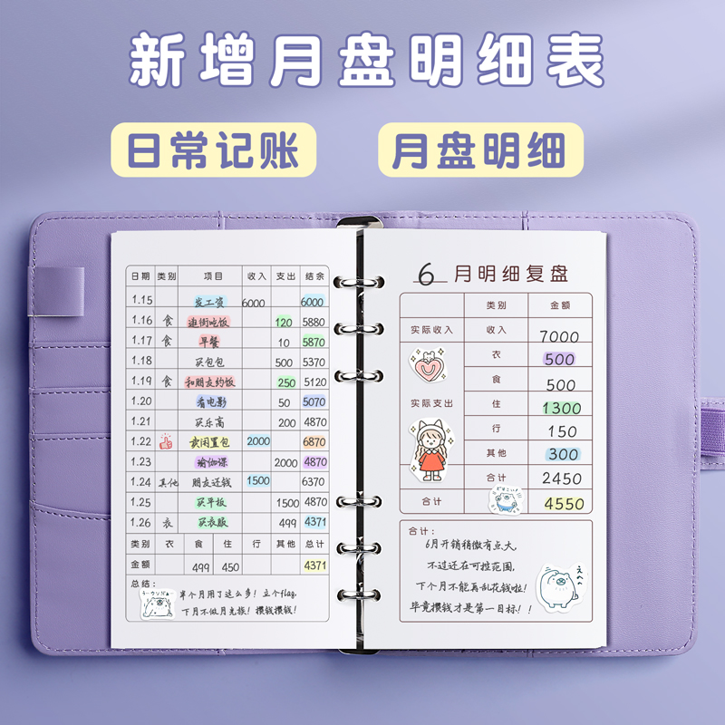 最新記賬本，全面解析其優(yōu)劣與挑戰(zhàn)