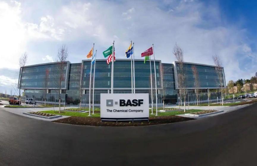 最新研制染料,色彩魔法與友情溫馨的探索