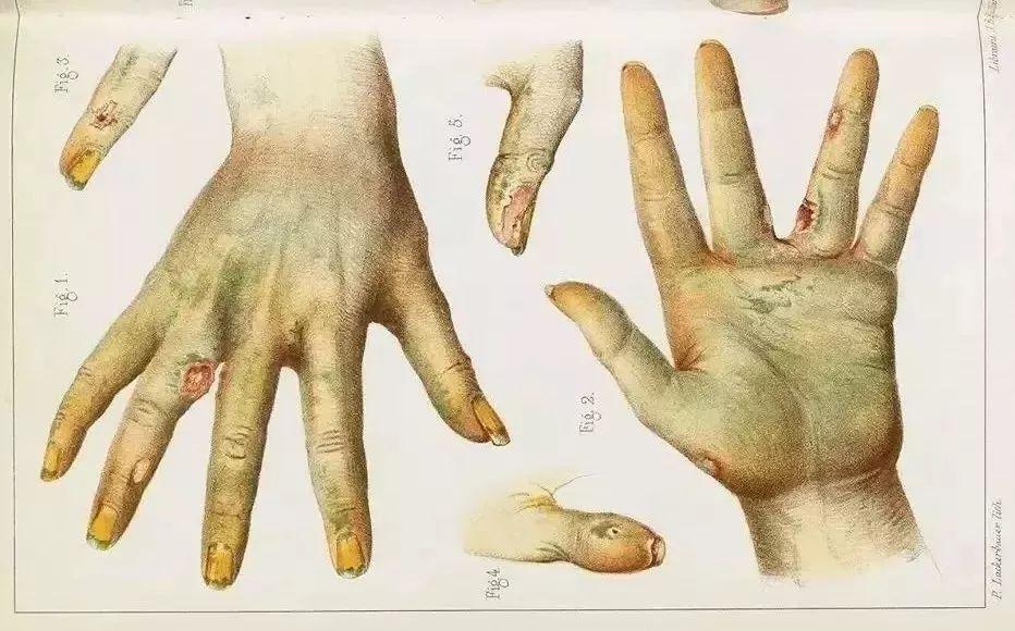 最新研制染料,色彩魔法與友情溫馨的探索