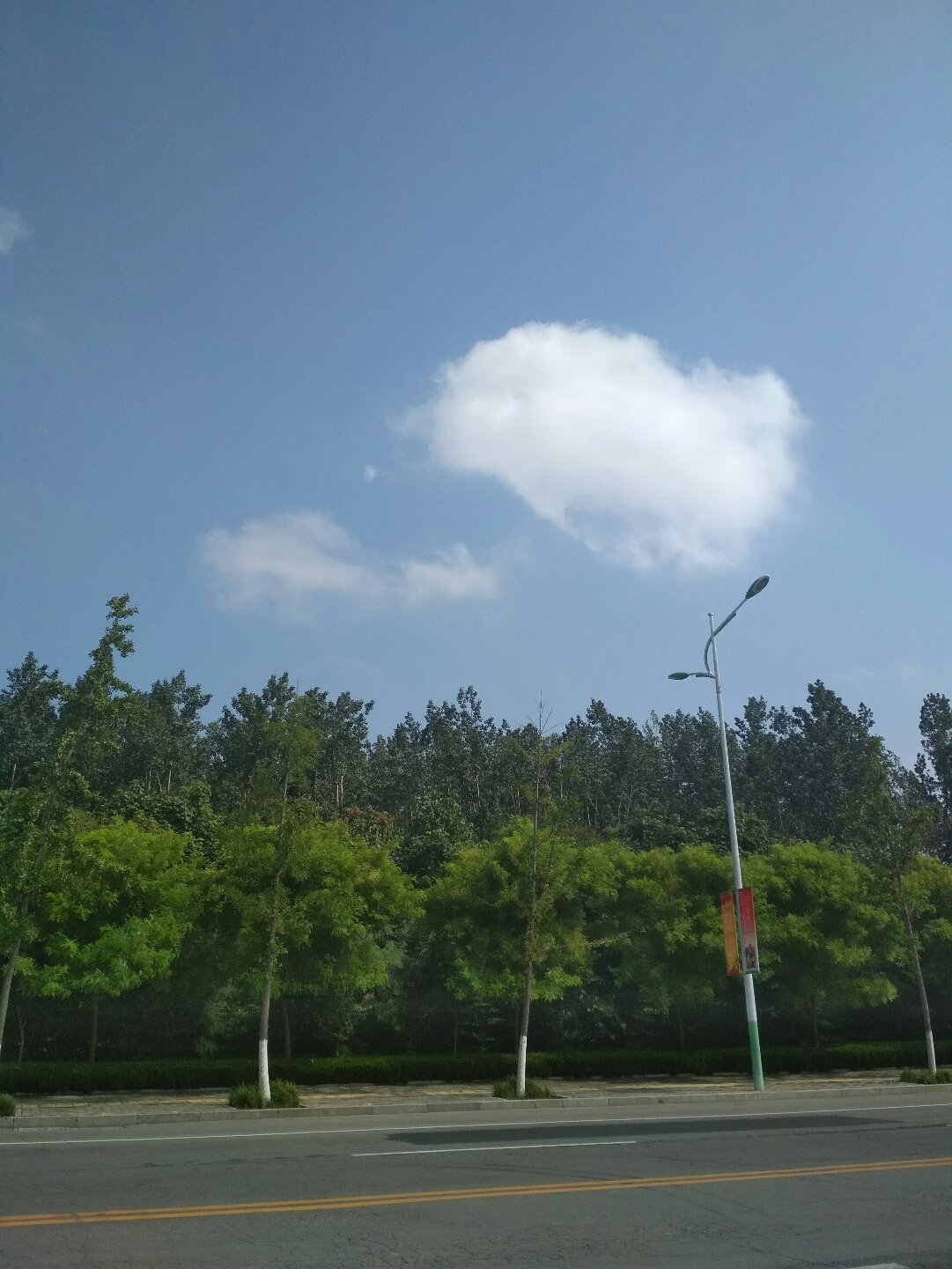 兗州最新天氣與小巷驚喜探索