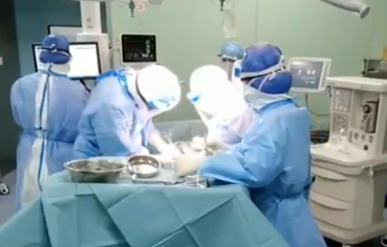 最新疫情反應下的心靈之旅，自然美景中尋找內(nèi)心平和與寧靜