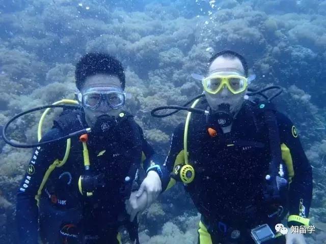 探索水下世界的神秘魅力，最新潛水視頻大放送