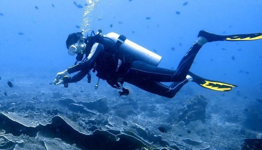 探索水下世界的神秘魅力,最新潛水視頻大放送