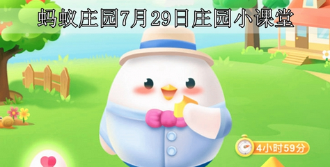 莊園課堂最新動態,引領教育創新潮流,掌握最新教育資訊