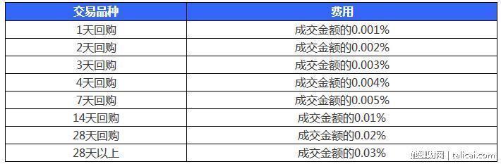 特色小店崛起故事,最新暴漲新股背后的神秘力量與隱藏寶藏探索