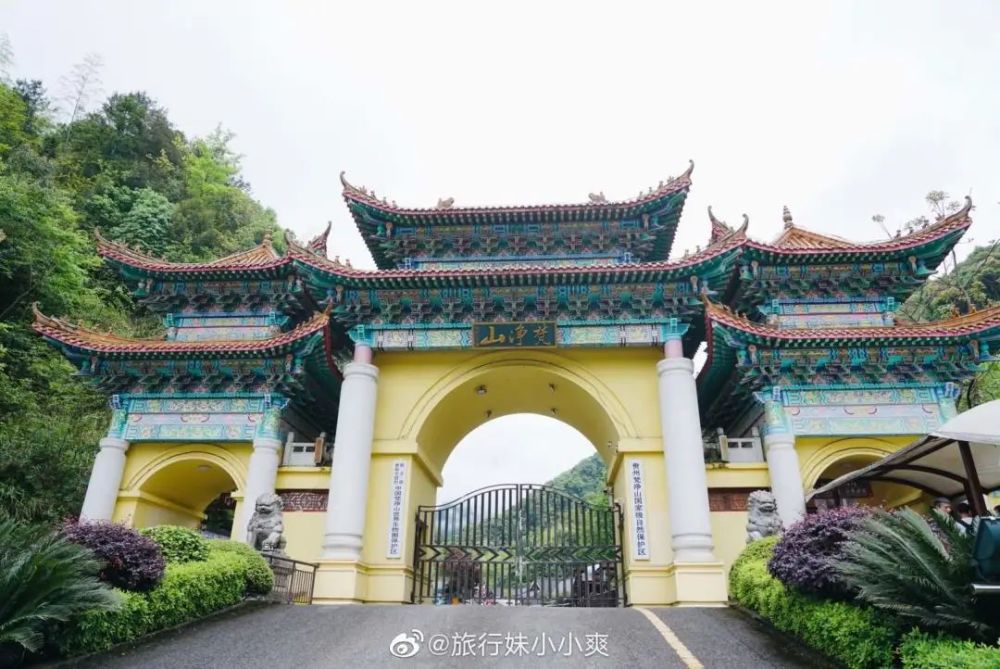 梵凈山最新動態,云端之上的溫馨奇遇揭秘