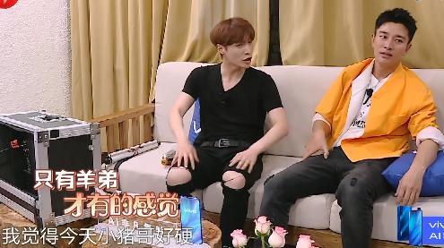 臥底最新計,日常趣事與友情的紐帶之旅