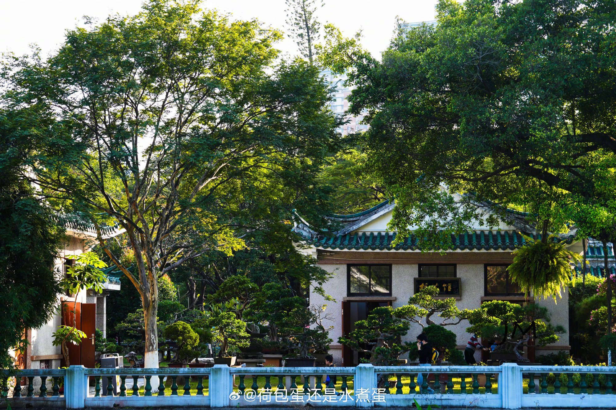 中山公園最新一日動態