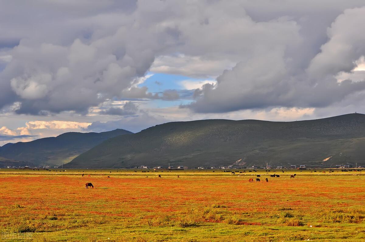 最新隔離辦法,理解、適應與應對策略