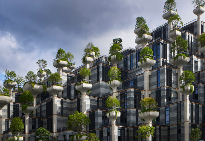 天堂社區，追溯背景，記錄重要事件，揭示其在時代中的獨特地位