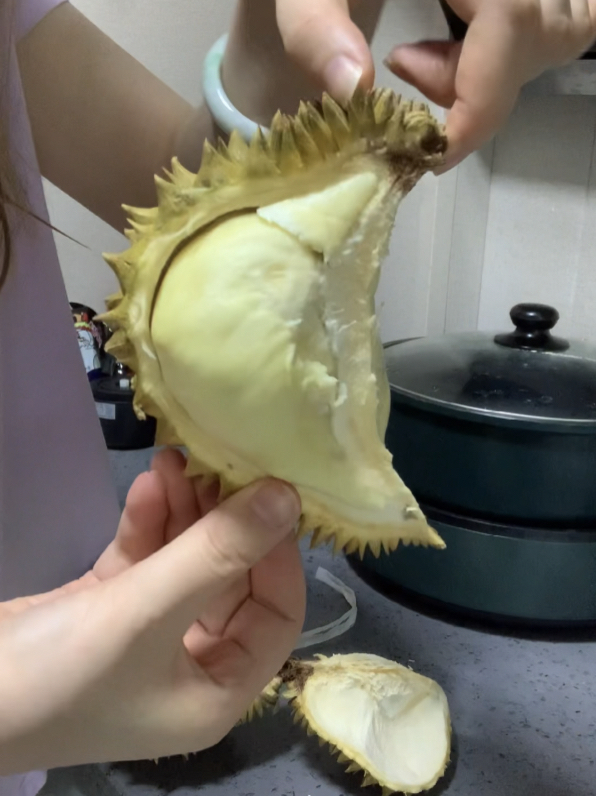 榴蓮最新視頻,熱帶水果之王的魅力展現(xiàn)