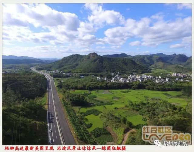 段和平最新動態與成就,科技前沿的探索領軍者