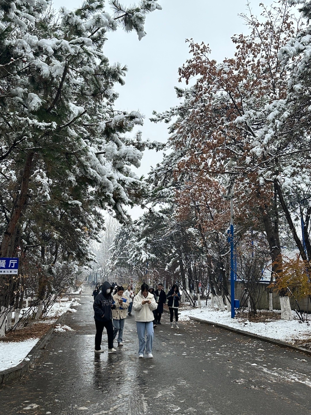 長春下雪最新消息,科技重塑冬日體驗新篇章