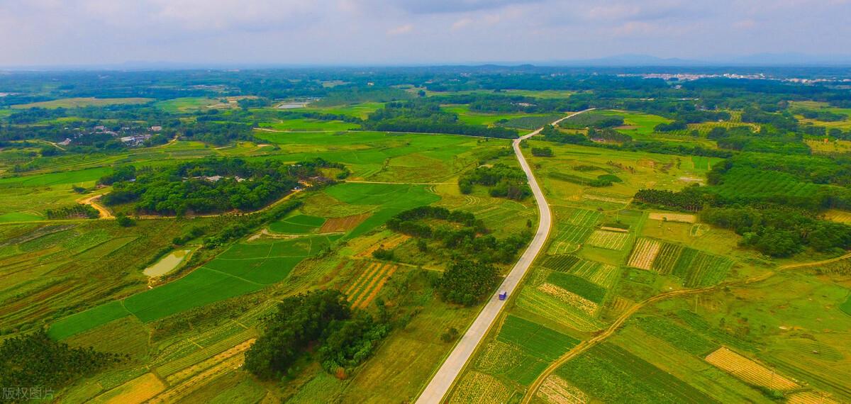 龍灣最新疾病深度探究與觀點(diǎn)闡述