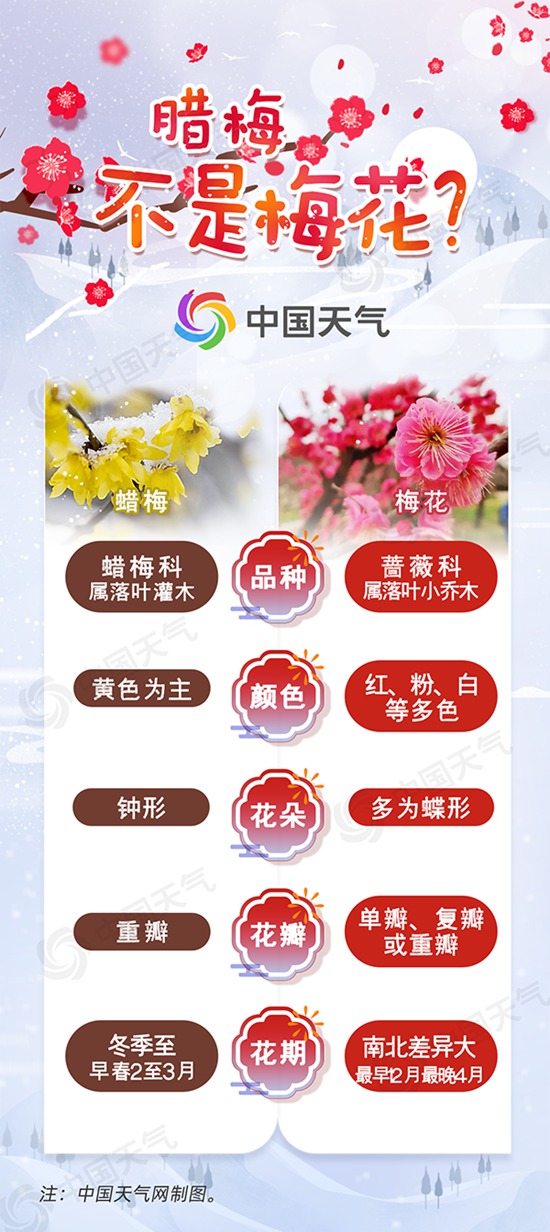 梅花井的歷史背景、重要事件與時(shí)代地位探究，最新追溯