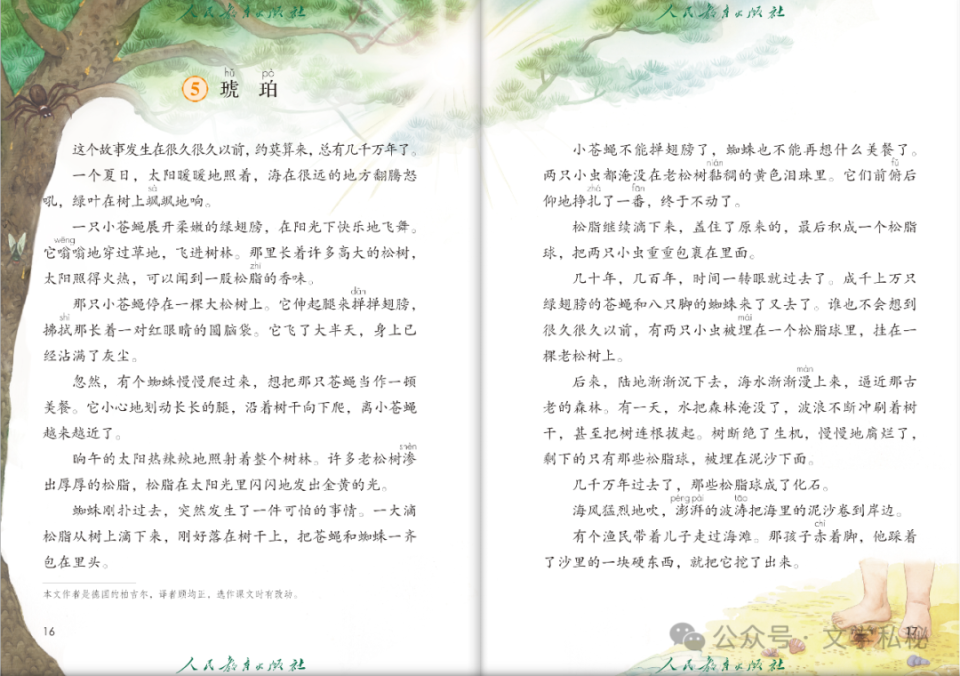 探索最新琥珀課文，揭示神秘琥珀世界