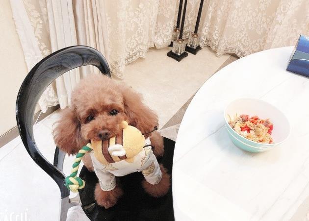 社會(huì)喵最新觀察，當(dāng)代社交文化的獨(dú)特視角