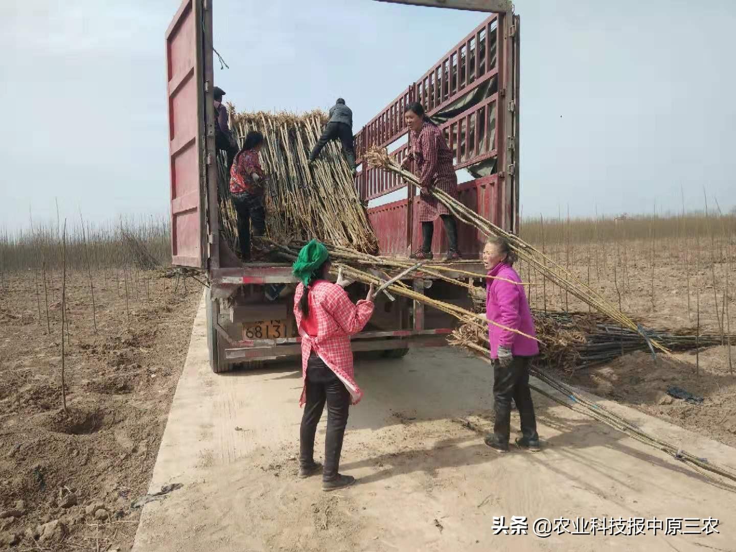 柘城新聞熱點，高科技產品引領未來，智能生活體驗前所未有