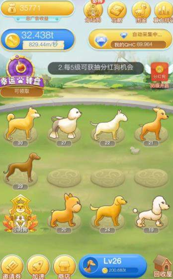 分紅犬最新動態與學習變化，自信塑造未來