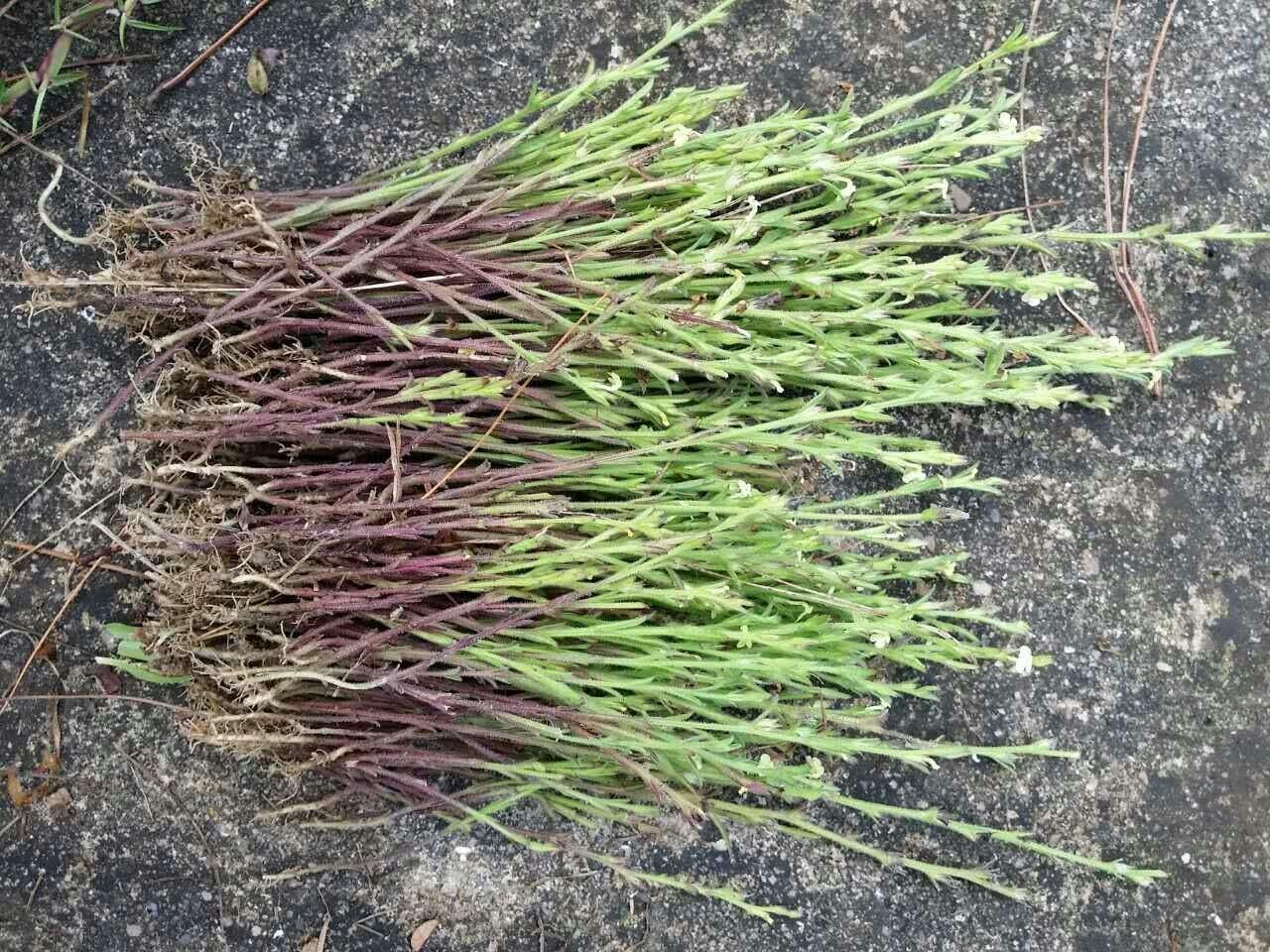 保健品 第102頁(yè)