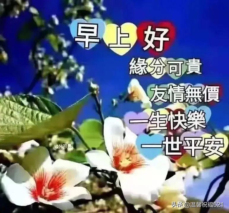 引領科技潮流,重塑生活體驗——最新地讓科技引領未來
