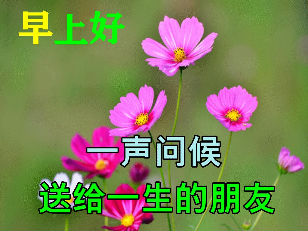 引領科技潮流,重塑生活體驗——最新地讓科技引領未來