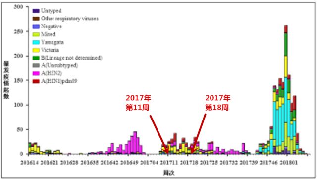 全球流感最新統(tǒng)計回顧，流感疫情的影響與深入分析