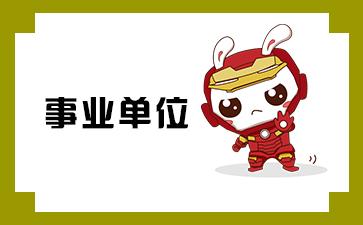 敘永最新公告發(fā)布，引領科技潮流的高科技產品介紹