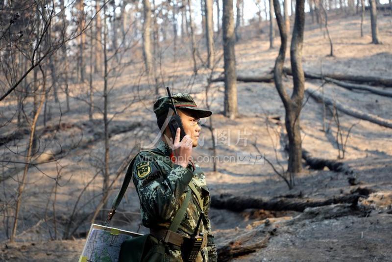 西昌大火最新進展及多方觀點分析與個人立場觀察
