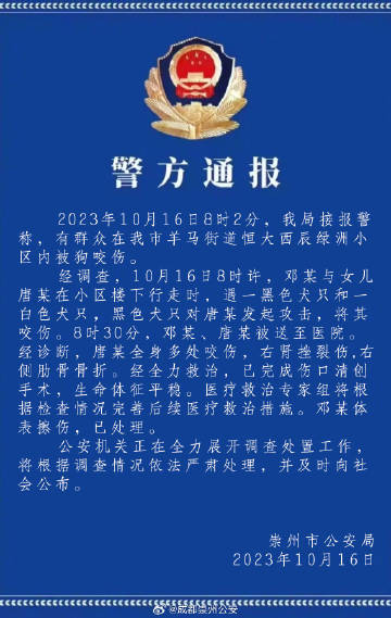 案件通報最新深度解析，背景、進展與影響全揭秘