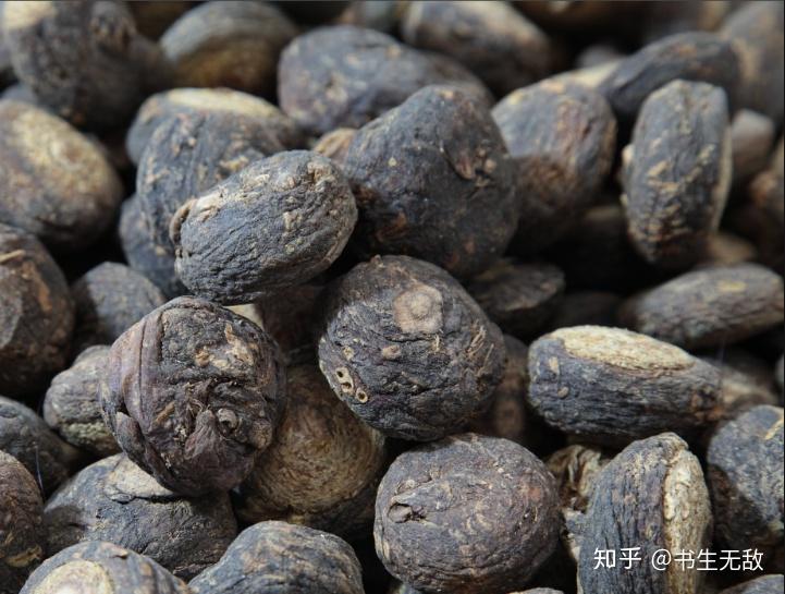 瑪卡最新動態，研究、應用與發展概述