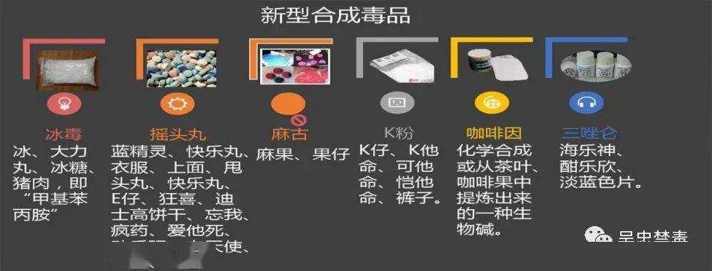合成毒品最新動態(tài),變化、學習與自信的力量推動禁毒工作前行