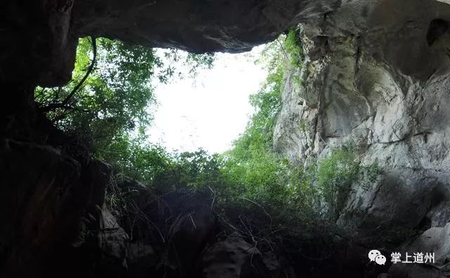 凹凸洞最新，小巷中的神秘特色小店探秘