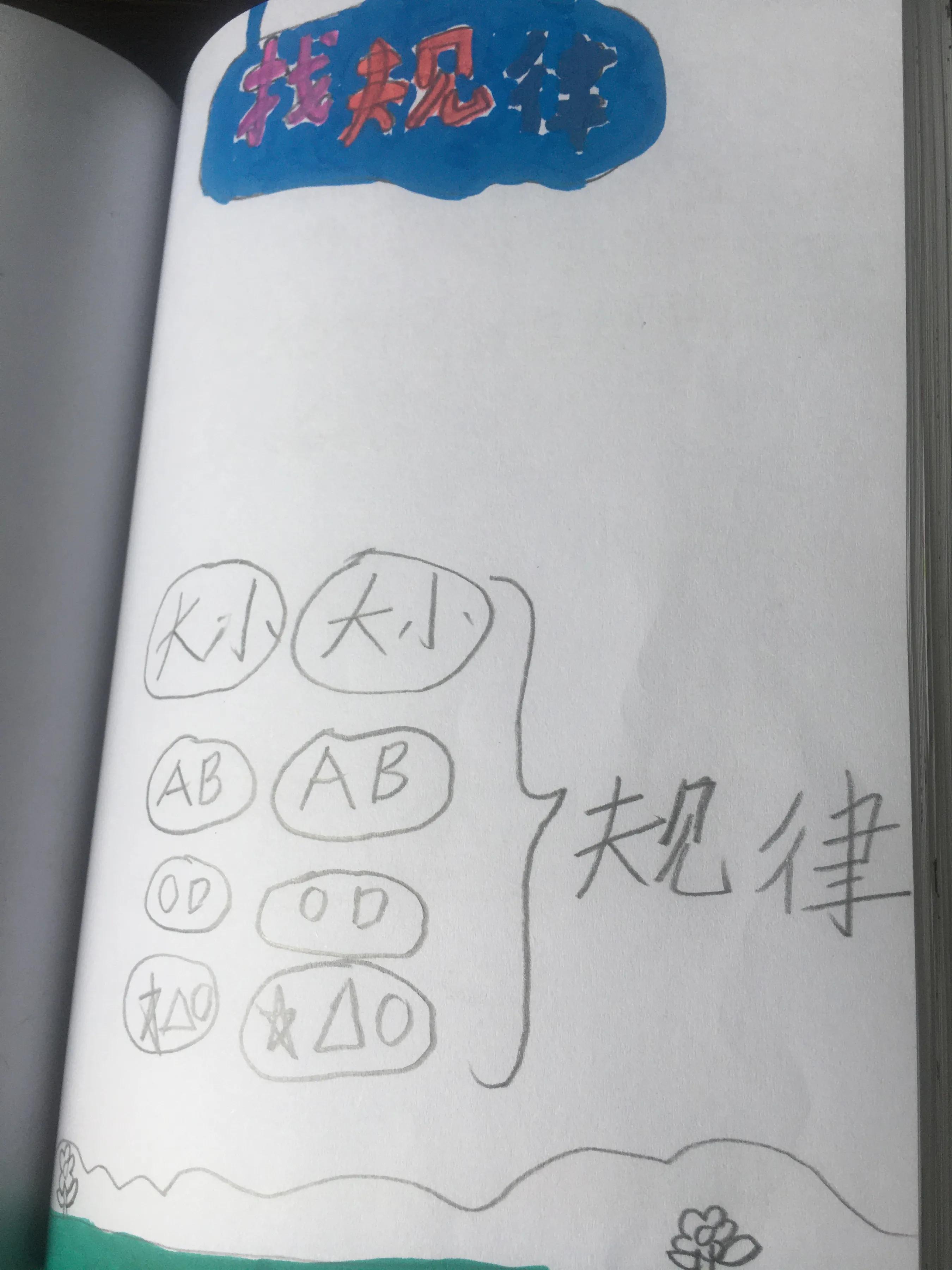 探索世界秩序之美，最新找規律揭秘！