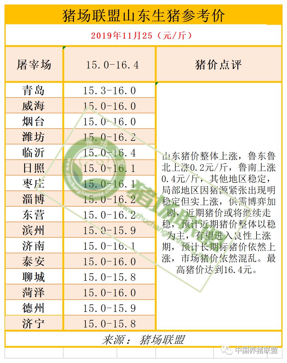 山東豬最新動態,全面關注與了解指南