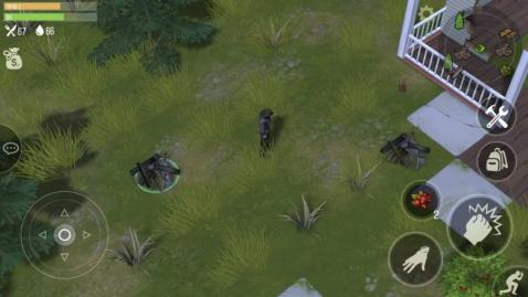 最新捕獵套制作與使用指南,從入門到精通的捕獵技巧分享