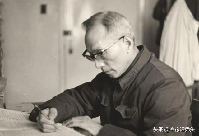 全球蝗災現狀，最新信息及其影響概覽