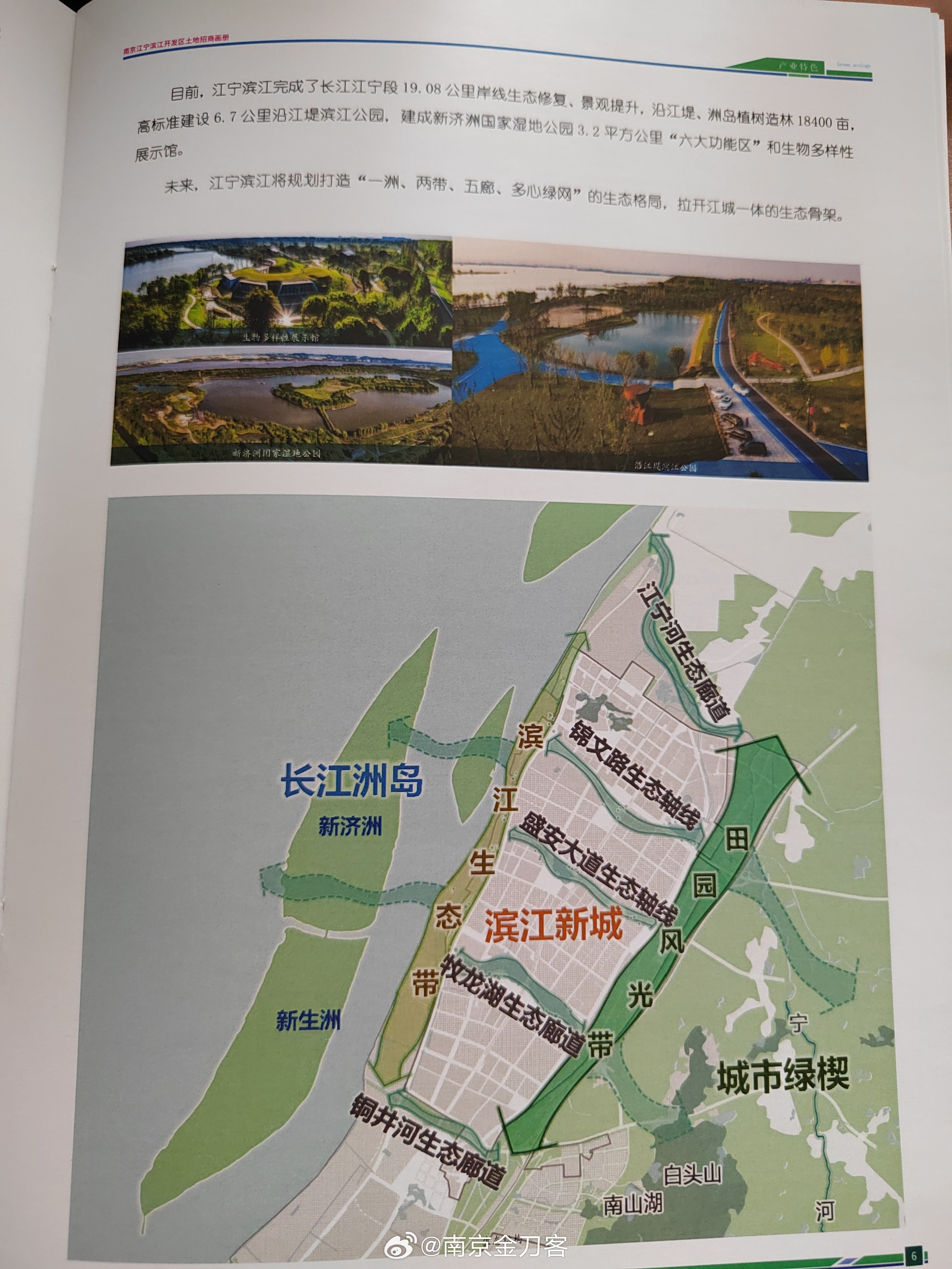 濱江最新發布，小巷深處的驚喜——隱藏的特色小店