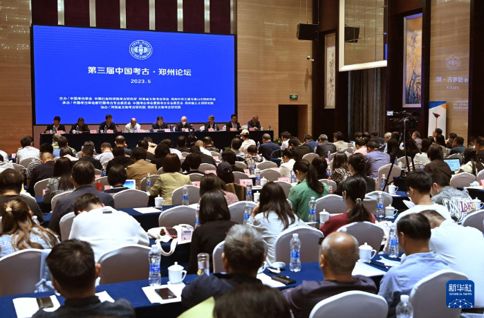 最新考古論壇揭秘,小巷深處的神秘寶藏探秘之旅