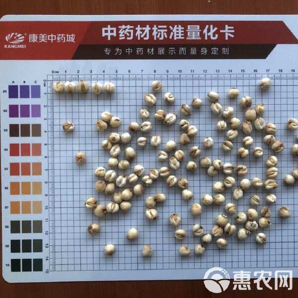 探尋小巷深處的珍稀寶藏，最新川貝單價與獨特環(huán)境特色小店