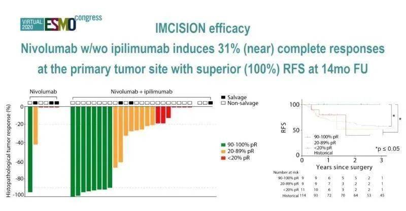 頭最新結論揭秘,獨家揭秘大放送!