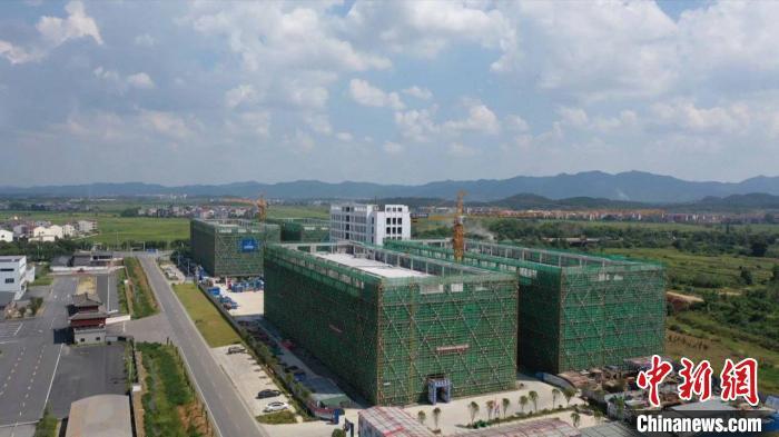 最新高安,小巷深處的味覺盛宴