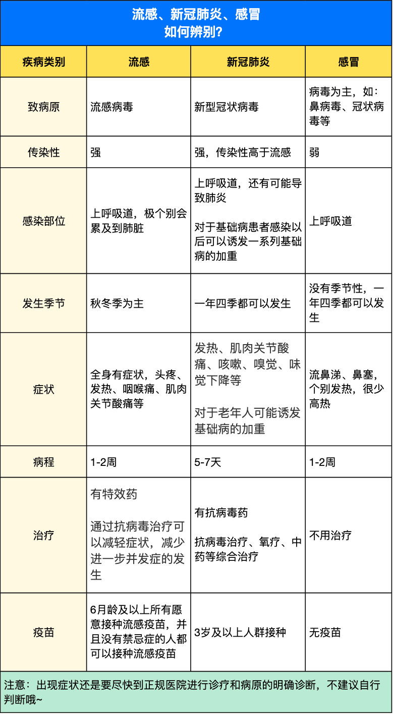 冠狀流感最新動態(tài),小巷深處的獨特流感體驗