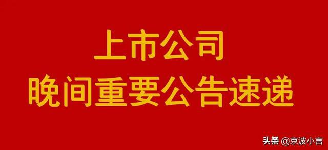 最新日上,小巷深處的特色小店驚喜之旅